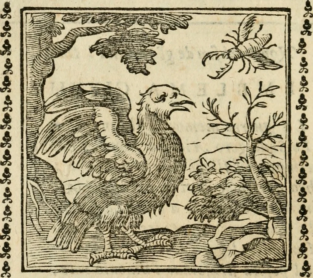 An illustration from Emblemi di Andrea Alciato, huomo chiarissimo, dal latino nel vulgare italiano ridotti, 1626, leaf 261