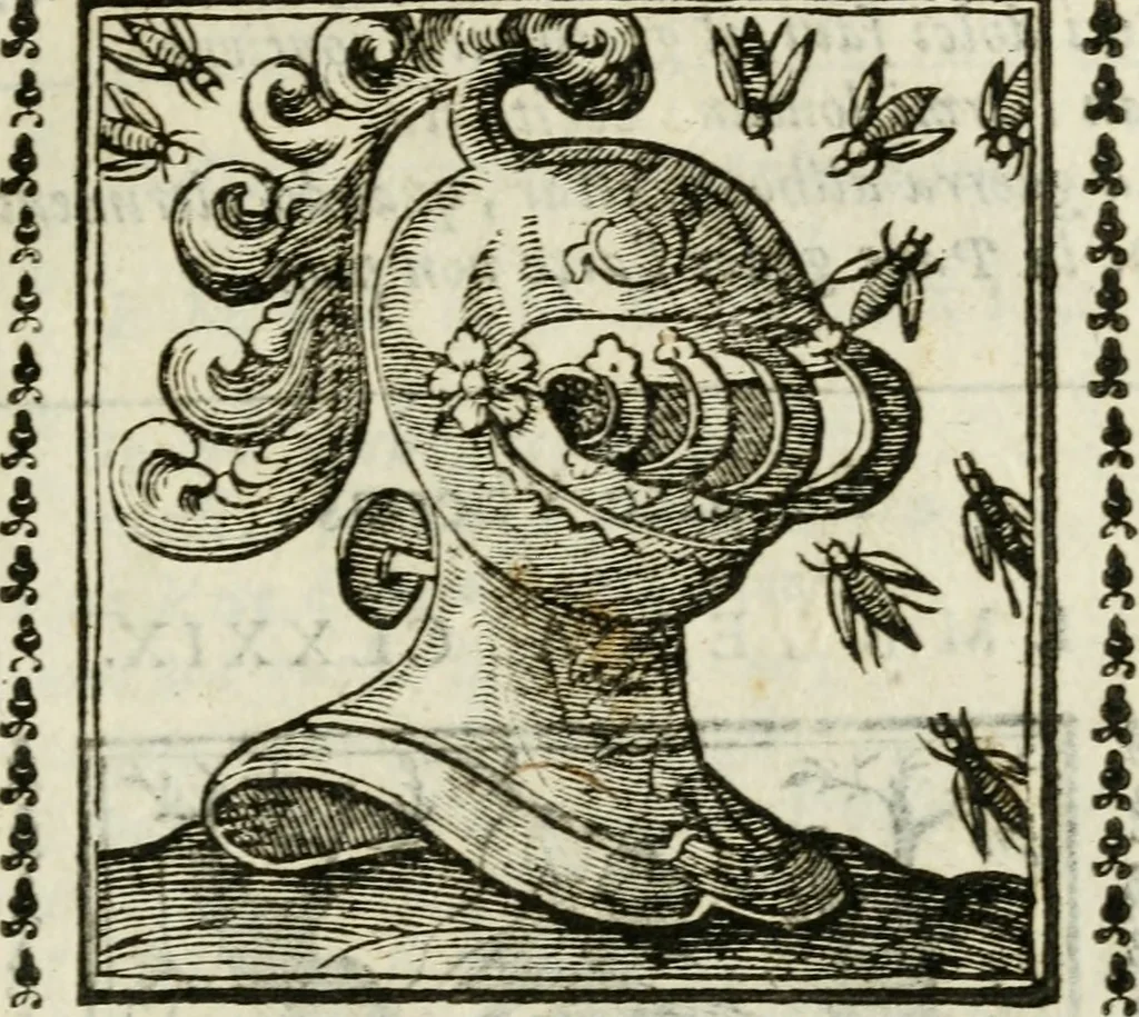 An illustration from Emblemi di Andrea Alciato, huomo chiarissimo, dal latino nel vulgare italiano ridotti, 1626, leaf 274