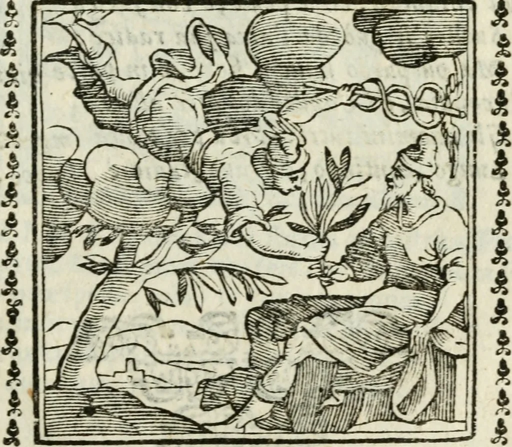 An illustration from Emblemi di Andrea Alciato, huomo chiarissimo, dal latino nel vulgare italiano ridotti, 1626, leaf 280