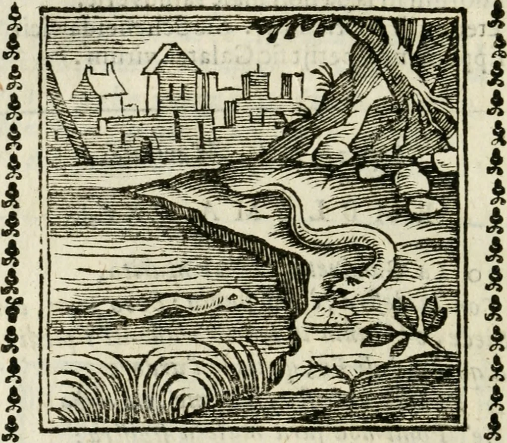 An illustration from Emblemi di Andrea Alciato, huomo chiarissimo, dal latino nel vulgare italiano ridotti, 1626, leaf 297