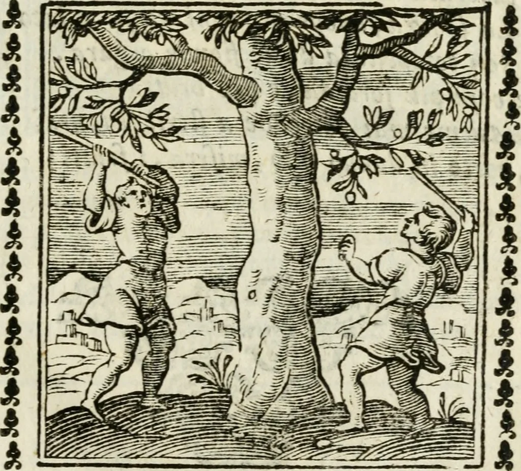 An illustration from Emblemi di Andrea Alciato, huomo chiarissimo, dal latino nel vulgare italiano ridotti, 1626, leaf 298