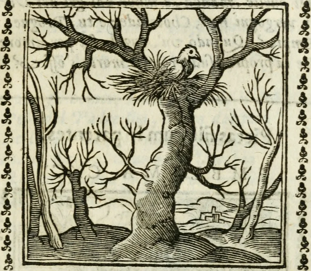 An illustration from Emblemi di Andrea Alciato, huomo chiarissimo, dal latino nel vulgare italiano ridotti, 1626, leaf 300