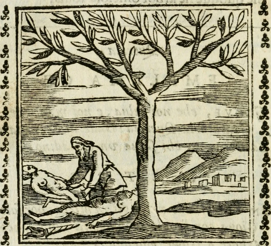 An illustration from Emblemi di Andrea Alciato, huomo chiarissimo, dal latino nel vulgare italiano ridotti, 1626, leaf 311