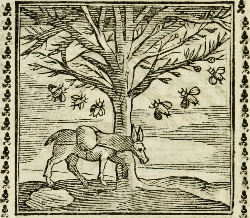 An illustration from Emblemi di Andrea Alciato, huomo chiarissimo, dal latino nel vulgare italiano ridotti, 1626, leaf 313