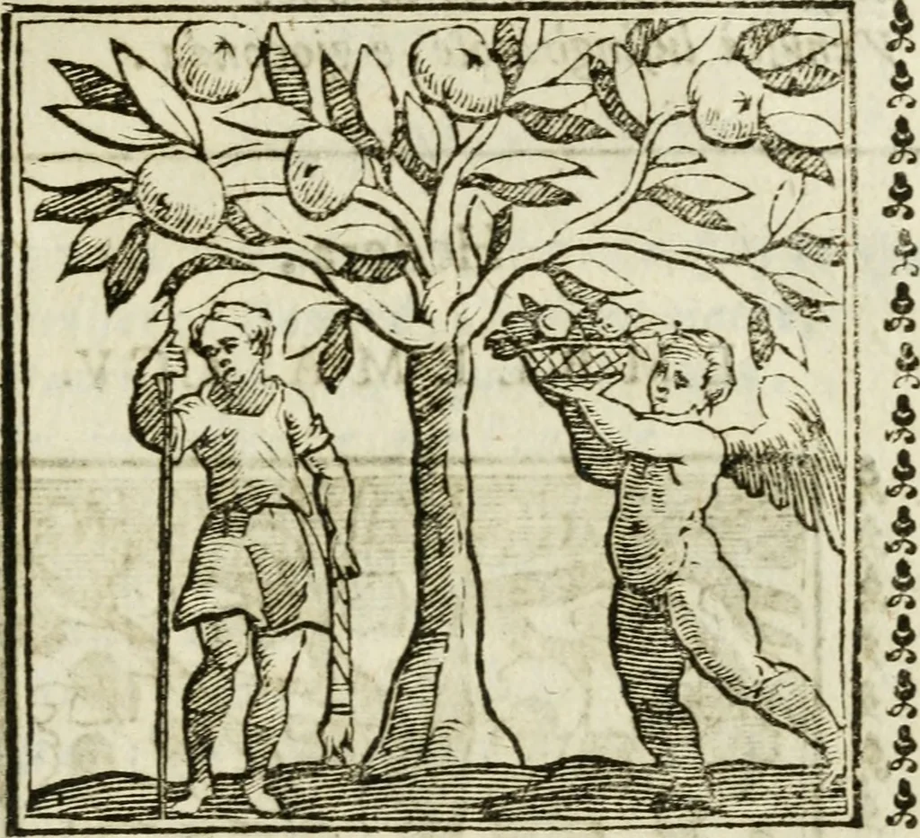 An illustration from Emblemi di Andrea Alciato, huomo chiarissimo, dal latino nel vulgare italiano ridotti, 1626, leaf 314