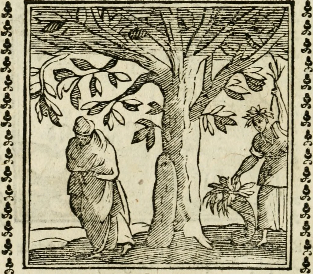 An illustration from Emblemi di Andrea Alciato, huomo chiarissimo, dal latino nel vulgare italiano ridotti, 1626, leaf 321