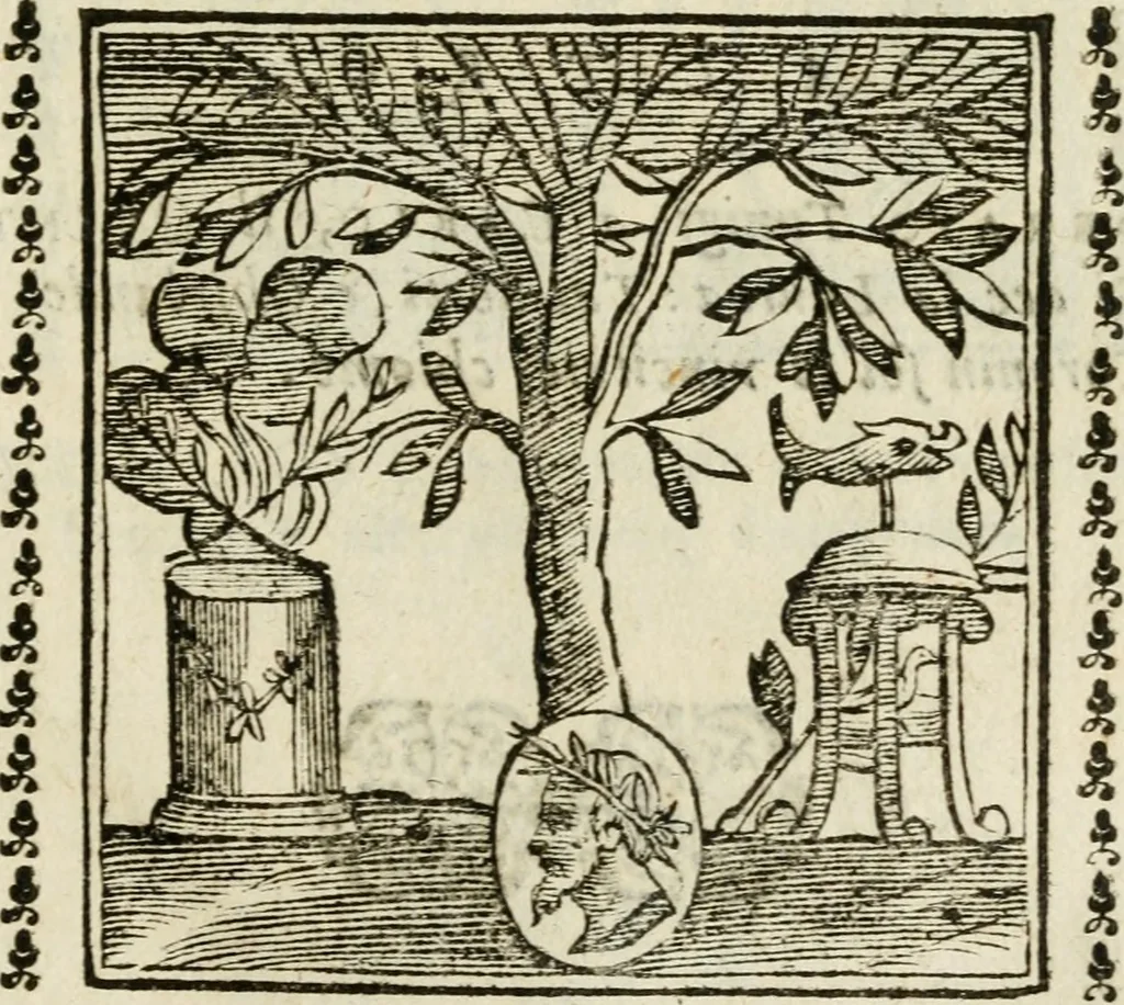 An illustration from Emblemi di Andrea Alciato, huomo chiarissimo, dal latino nel vulgare italiano ridotti, 1626, leaf 322