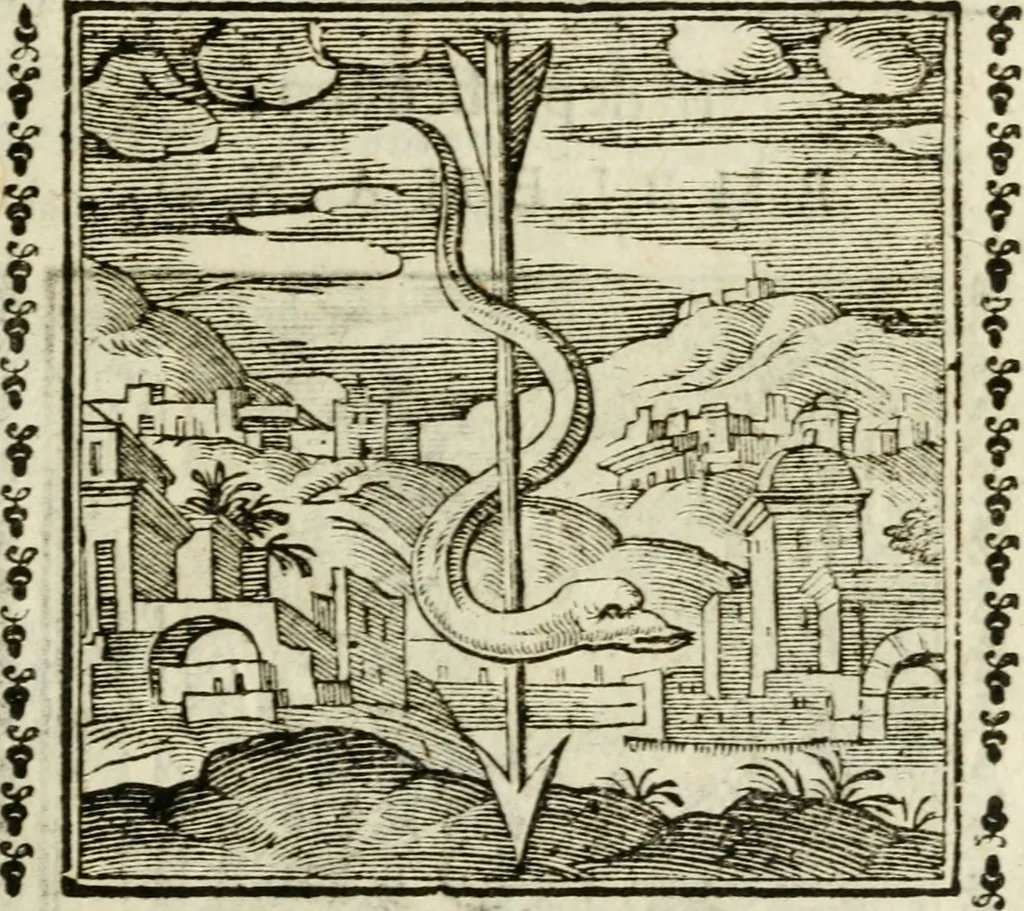 An illustration from Emblemi di Andrea Alciato, huomo chiarissimo, dal latino nel vulgare italiano ridotti, 1626, leaf 40