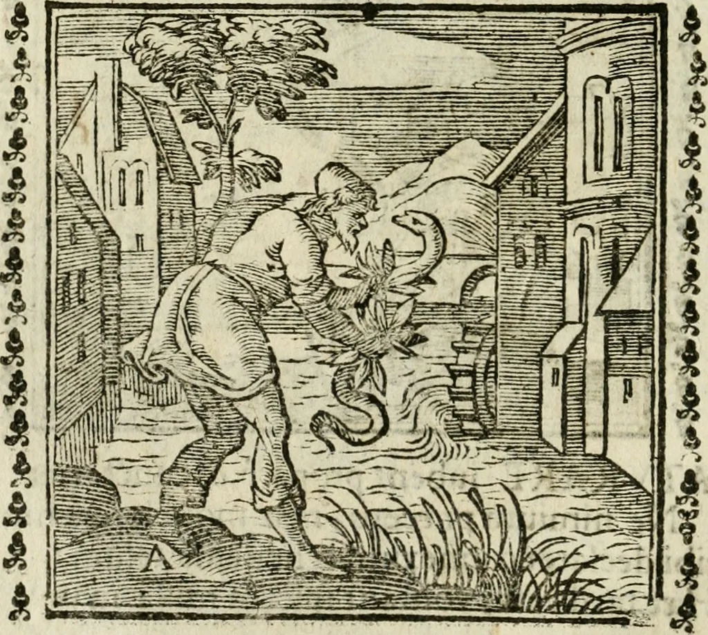 An illustration from Emblemi di Andrea Alciato, huomo chiarissimo, dal latino nel vulgare italiano ridotti, 1626, leaf 41