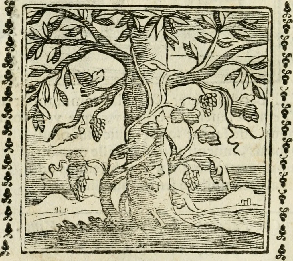 An illustration from Emblemi di Andrea Alciato, huomo chiarissimo, dal latino nel vulgare italiano ridotti, 1626, leaf 45