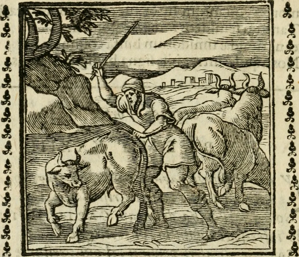 An illustration from Emblemi di Andrea Alciato, huomo chiarissimo, dal latino nel vulgare italiano ridotti, 1626, leaf 61