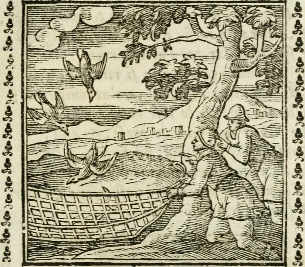 An illustration from Emblemi di Andrea Alciato, huomo chiarissimo, dal latino nel vulgare italiano ridotti, 1626, leaf 84