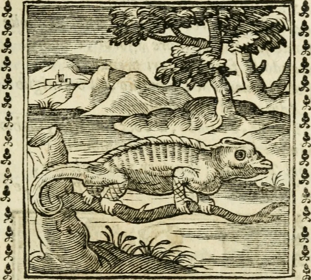 An illustration from Emblemi di Andrea Alciato, huomo chiarissimo, dal latino nel vulgare italiano ridotti, 1626, leaf 88