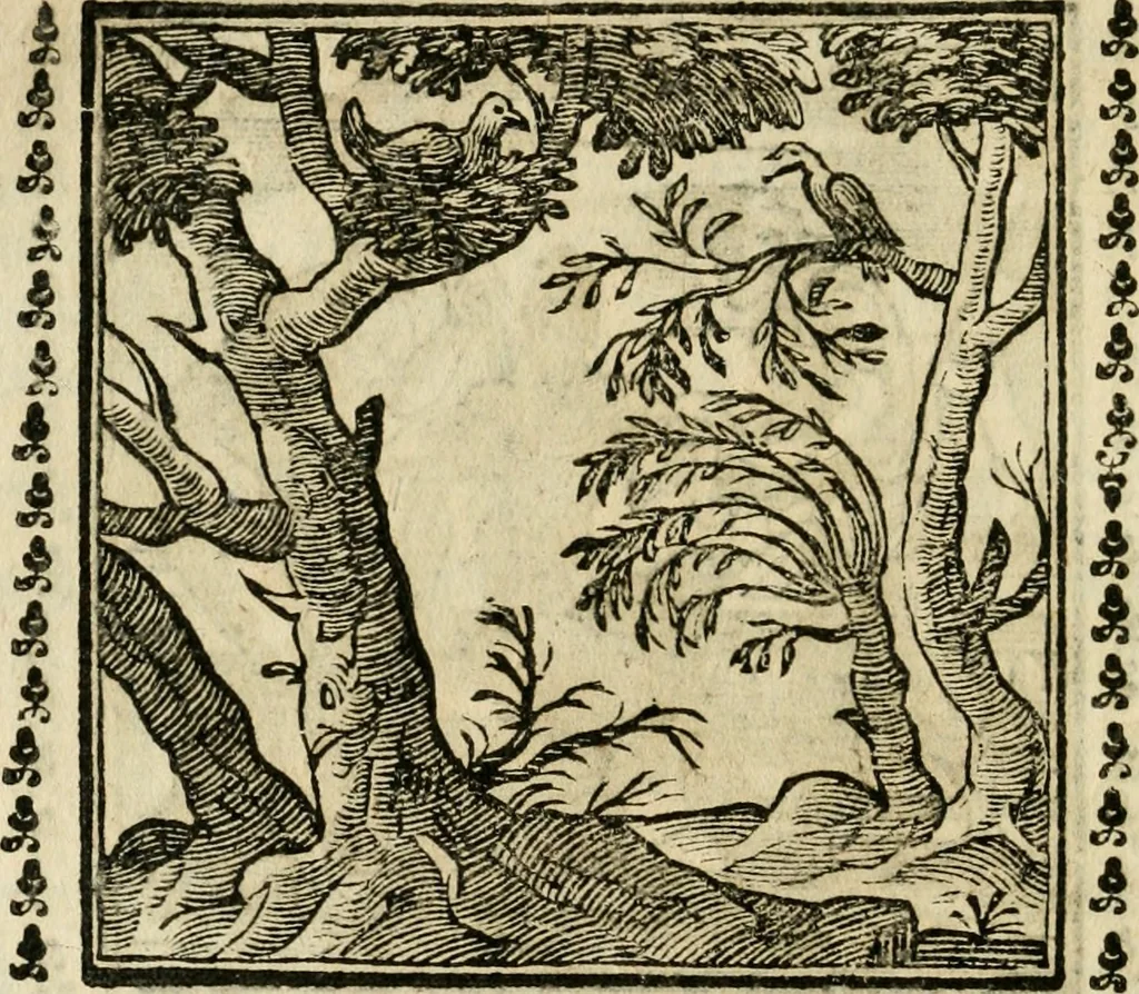 An illustration from Emblemi di Andrea Alciato, huomo chiarissimo, dal latino nel vulgare italiano ridotti, 1626, leaf 97