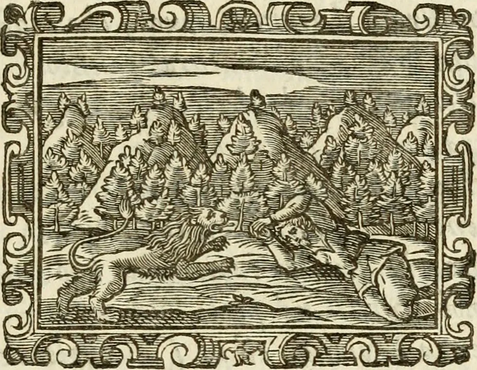 An illustration from Emblemi politici, 1632, leaf 46