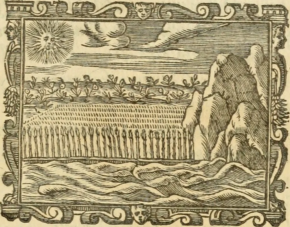 An illustration from Emblemi politici, 1632, leaf 68