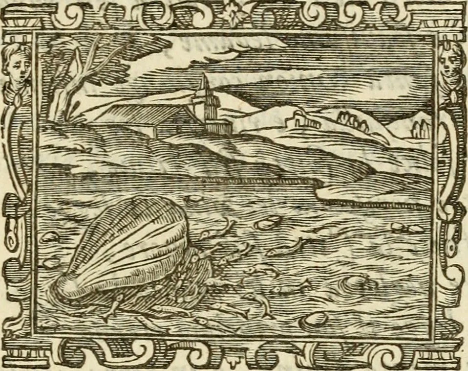 An illustration from Emblemi politici, 1632, leaf 76