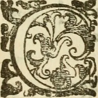 An illustration from Emblemi politici, 1632, leaf 76