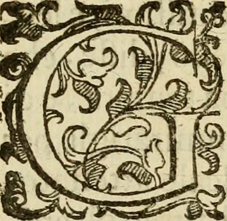 An illustration from Emblemi politici, 1632, leaf 8