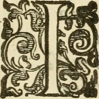 An illustration from Emblemi politici, 1632, leaf 80