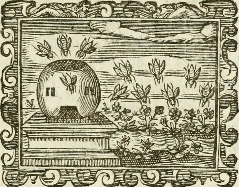 An illustration from Emblemi politici, 1632, leaf 88