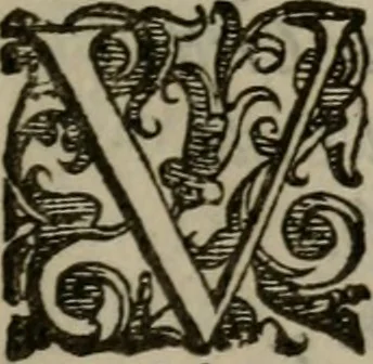 An illustration from Emblemi politici del Signor caualier Guido Casoni, 1632, leaf 12