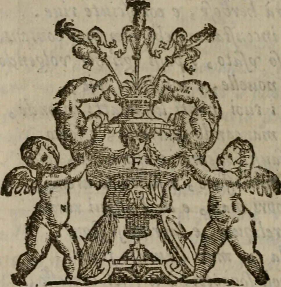 An illustration from Emblemi politici del Signor caualier Guido Casoni, 1632, leaf 43
