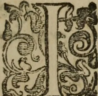 An illustration from Emblemi politici del Signor caualier Guido Casoni, 1632, leaf 66