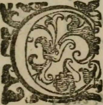 An illustration from Emblemi politici del Signor caualier Guido Casoni, 1632, leaf 74