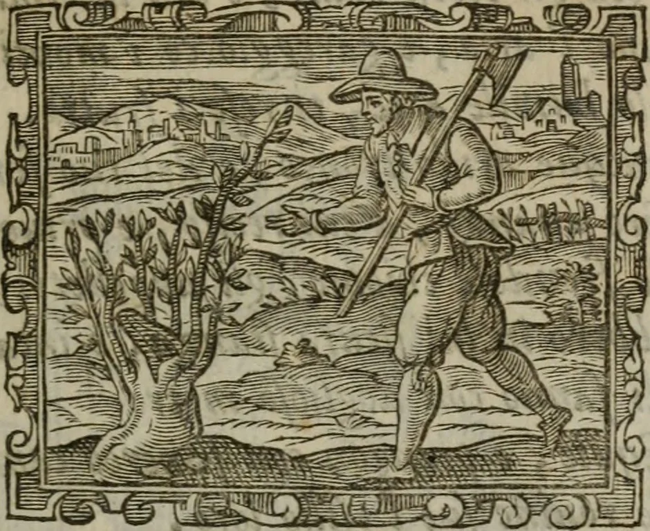 An illustration from Emblemi politici del Signor caualier Guido Casoni, 1632, leaf 78