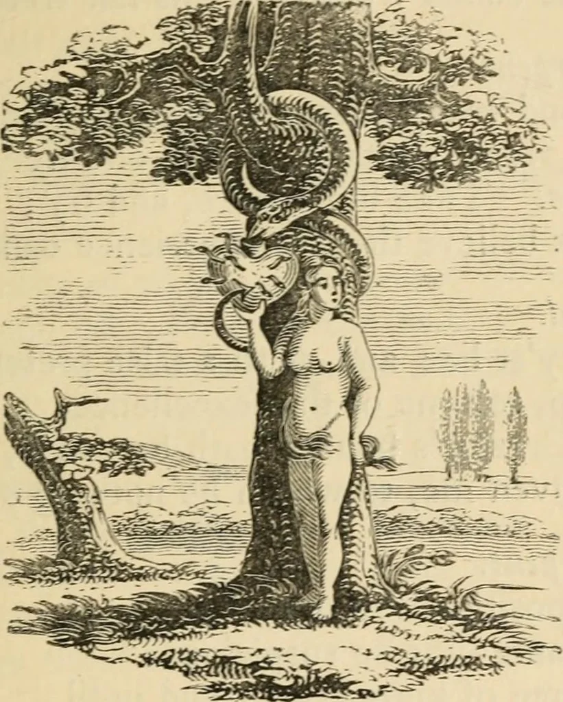 An illustration from Emblems, divine and moral : The school of the heart; and Hieroglyphics of the life of man, 1866, leaf 265