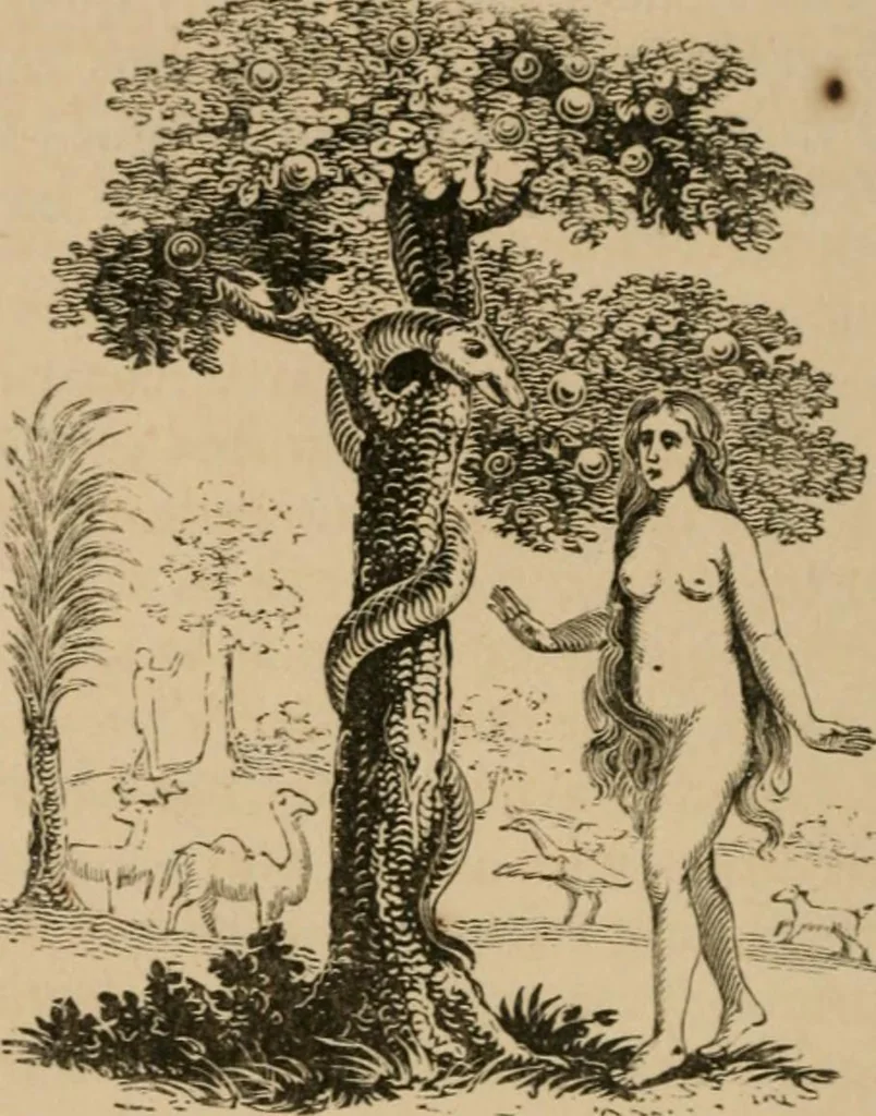 An illustration from Emblems, divine and moral : The school of the heart; and Hieroglyphics of the life of man, 1866, leaf 30