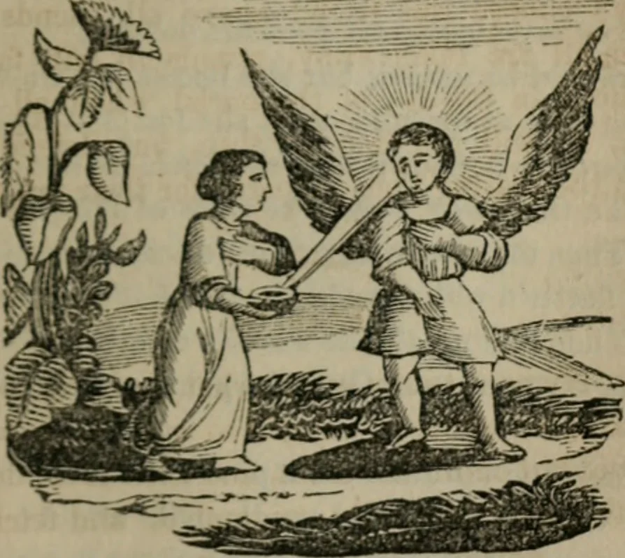 An illustration from Emblems divine and moral, 1851, leaf 272
