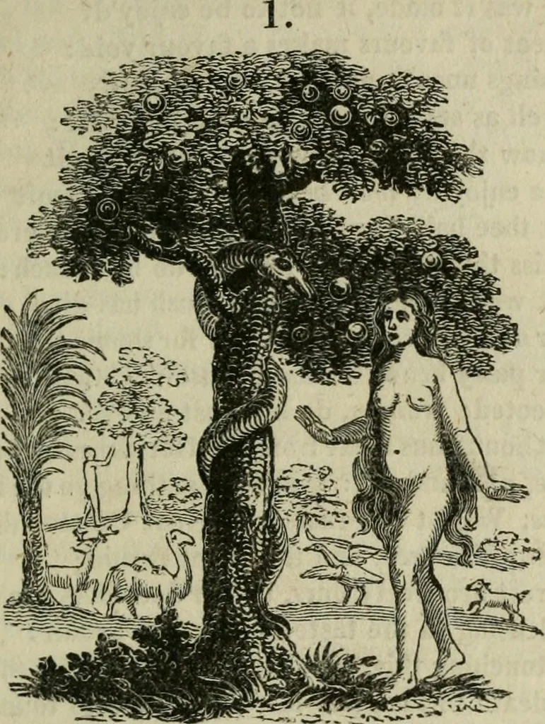 An illustration from Emblems, divine and moral, 1812, leaf 23