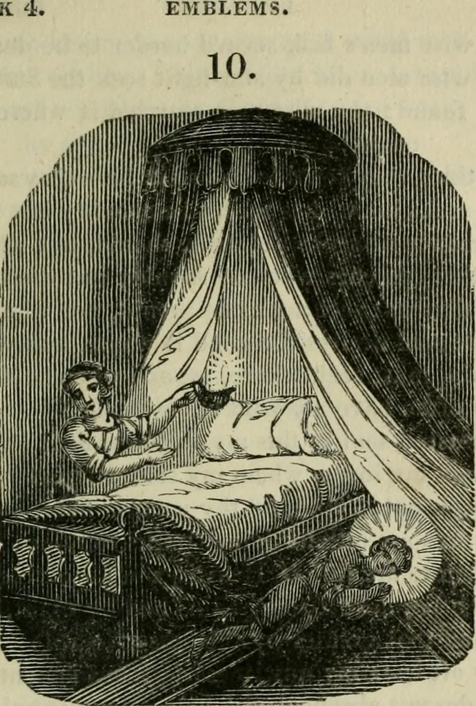 An illustration from Emblems, divine and moral, 1812, leaf 243