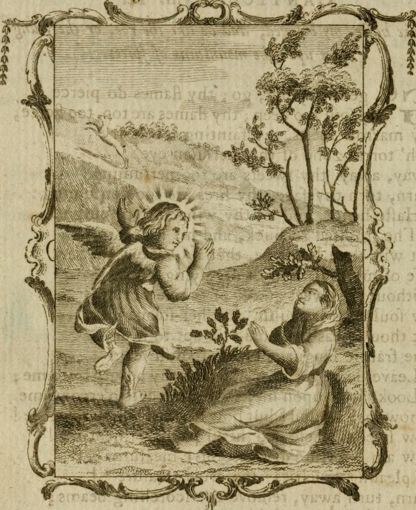 An illustration from Emblems divine and moral ; together with Hieroglyphics of the life of man, 1777, leaf 393