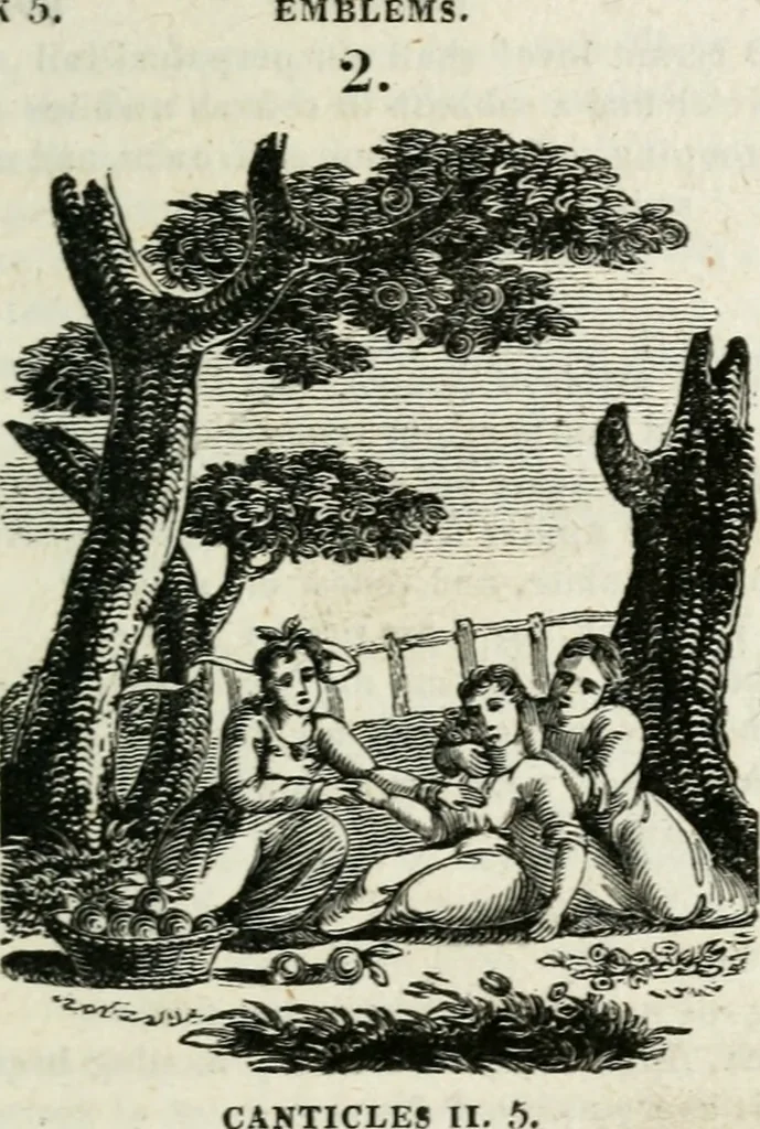 An illustration from Emblems, divine and moral, 1818, leaf 264