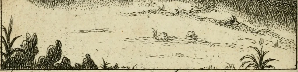 An illustration from Emblems of love, in four languages : dedicated to the ladys, 1683, leaf 107