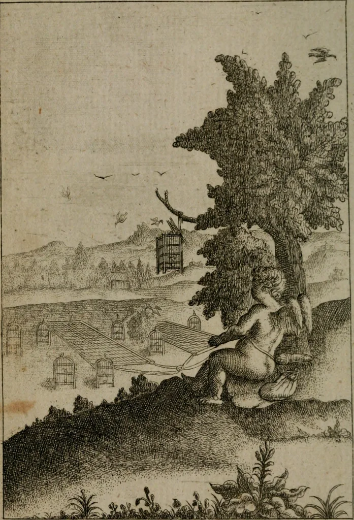 An illustration from Emblems of love in four languages : dedicated to the ladys, 1747, leaf 19