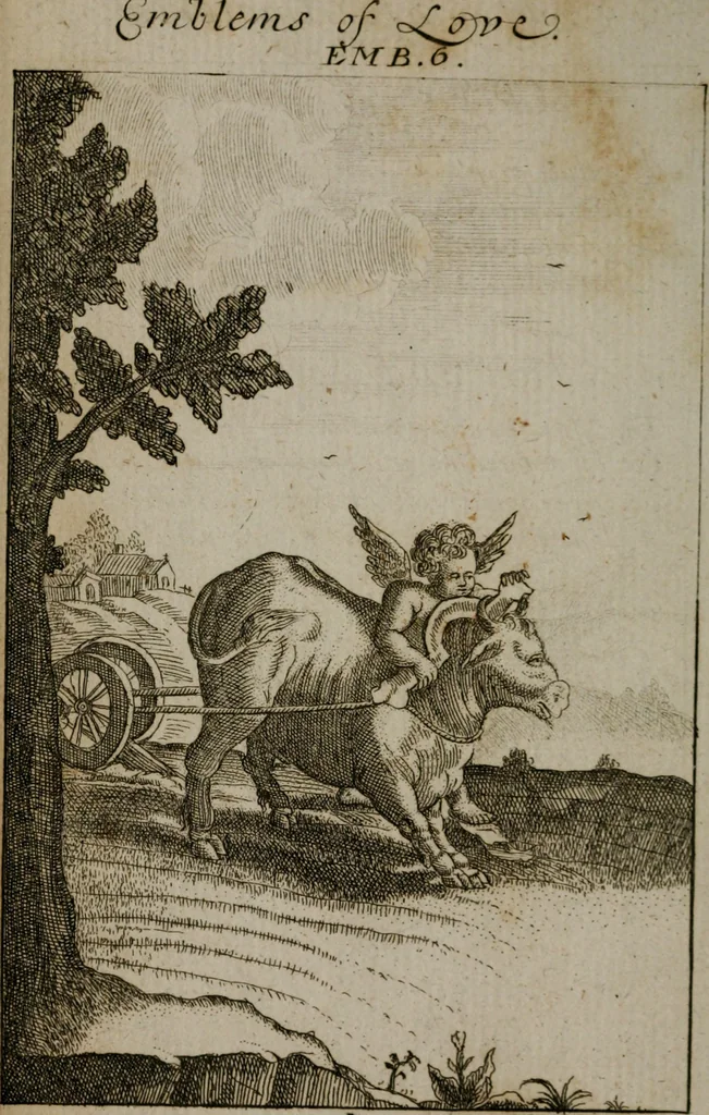 An illustration from Emblems of love in four languages : dedicated to the ladys, 1747, leaf 31