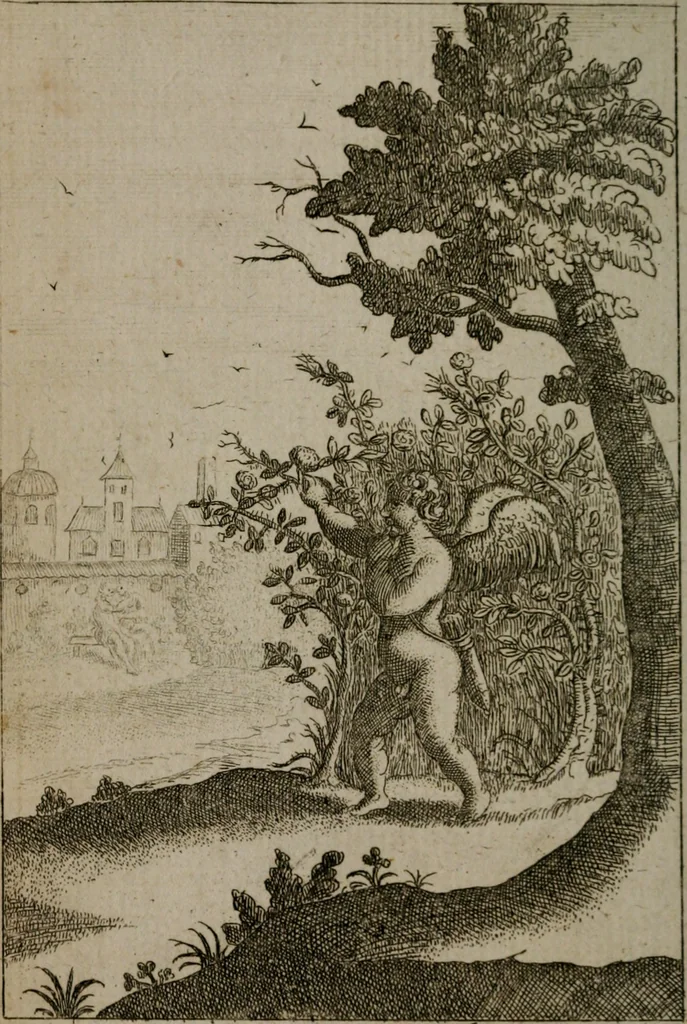 An illustration from Emblems of love in four languages : dedicated to the ladys, 1747, leaf 75