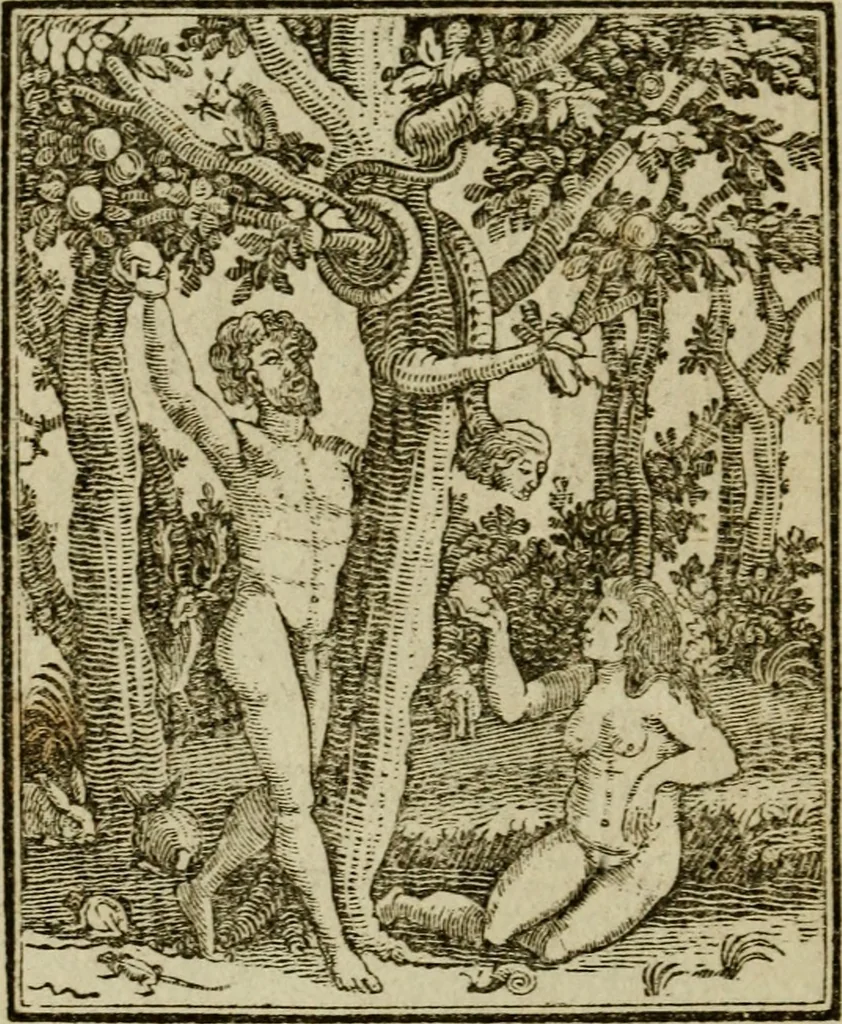 An illustration from Emblems of mortality : representing, in upwards of fifty cuts, Death seizing all ranks and degrees of people : imitated from a painting in the cemetery of the Dominican church at Basil, in Switzerland : with an apostrophe to each, translated from the Latin and French : intended as well for the infomation of the curious, as the instruction and entertainment of youth : to which is prefixed a copious preface, containing an historical account of the above, and other paintings on this subject, now or lately existing in divers parts of Europe, 1789, leaf 41
