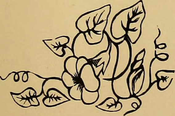 An illustration from The embroiderer's book of design : containing initials, emblems, cyphers, monograms, ornamental borders, ecclesiastical devices, mediæval and modern alphabets, and national emblems, 1891, leaf 28
