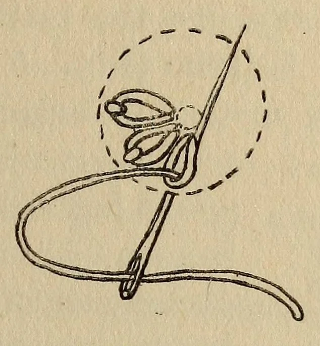 An illustration from An embroidery book, 1920, leaf 79