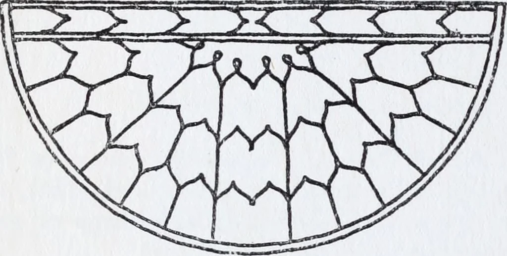 An illustration from Embroidery : a collection of articles on subjects connected with the study of fine needlework, including stitches, materials, methods of work, and designing, and history ..., 1909, leaf 163