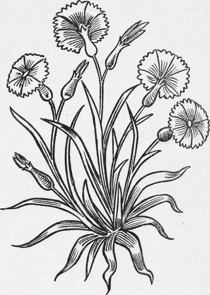 An illustration from Embroidery : a collection of articles on subjects connected with the study of fine needlework, including stitches, materials, methods of work, and designing, and history ..., 1909, leaf 27