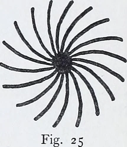 An illustration from Embroidery : a collection of articles on subjects connected with the study of fine needlework, including stitches, materials, methods of work, and designing, and history ..., 1909, leaf 62