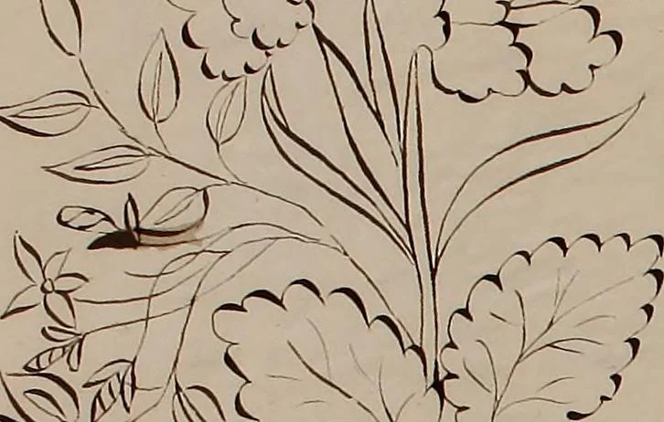 An illustration from [Embroidery designs, 1850, leaf 107