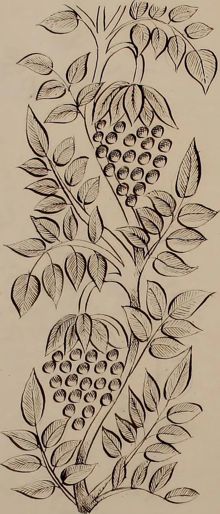 An illustration from [Embroidery designs, 1850, leaf 107