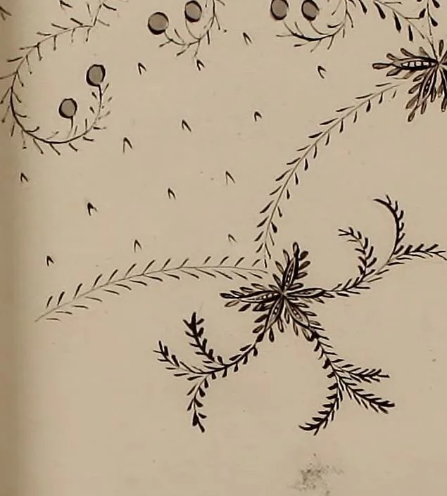 An illustration from [Embroidery designs, 1850, leaf 30